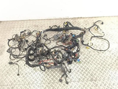 Volkswagen New Beetle 2009 RHD Altro 1.6 Cablaggio 1C0927904 Benzina 75kW - Imagem 1 de 4