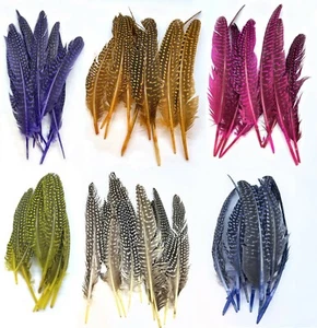 Piquants de Pintade pour Montage de Mouches, couleurs teintes et naturelles - Photo 1/7