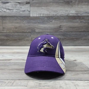 Washington Huskies NCAA Football Cap Hat Adult Mens Adjustable Strapback - Picture 1 of 10