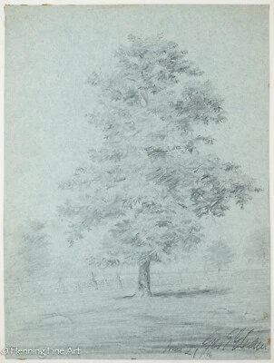 Hermoso dibujo a lápiz americano antiguo del siglo XIX de árbol alto, ¡firmado! M7 Foto 1 de 4