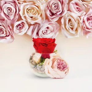 Ewige Rose im Glas Konservierte Rose Bunte Auswahl Rote Rose Rosenbox infinity - Bild 1 von 17