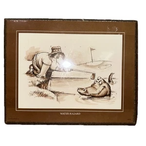 1975 Wallace Berrie Gary Patterson Drawing “Water Hazard" Golf Humor New Sealed - Picture 1 of 5
