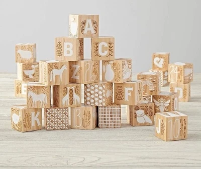 Crate&kids Crate & Barrel Etched Wooden Baby Alphabet Letter Animal Blocks - Image 1 of 4