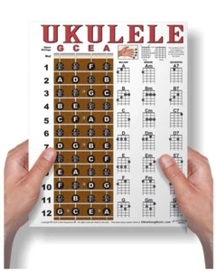 Laminated Ukulele Beginner Chord Chart 8.5x11 Chords Fingerboard Soprano Concert - Picture 1 of 8