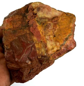 Pietra Preziosa Diaspro Naturale Australiana 1976 Ct Marrone Noreena Esemplare Minerale Grezzo - Foto 1 di 4
