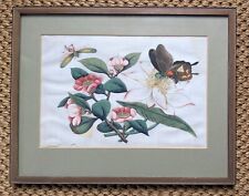 Chinese Botanical Watercolour Pith Painting Qing Dynasty