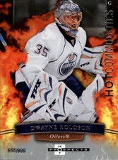 2007-08 Hot Prospects Oilers Hockey Card #111 Dwayne Roloson HC/999