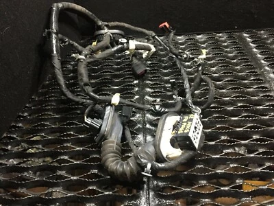 09 10 11 12 LINCOLN MKS PUERTA DELANTERA ARNÉS CABLE CONDUCTOR LADO IZQUIERDO OEM Foto 1 de 4