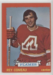 1973-74 Topps Rey Comeau #29