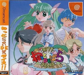 Net de Para Dreamcast Japan Used