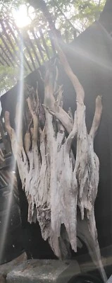 Natural genuine Driftwood  - Image 1 of 4