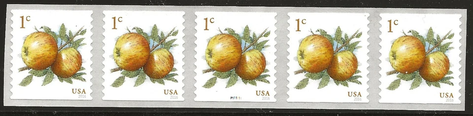 US Scott #5037, Plate #P111111 Coil 2016 Apples 1c VF MNH - Image 1 of 1
