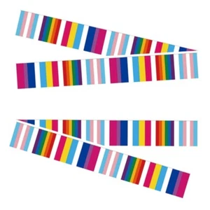 33ft Rainbow Gay Pride Flag Bunting Hangable Banners Ornament - Picture 1 of 5
