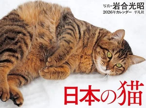 2026 Calendar Japanese Cats Calendar 297 - Picture 1 of 1