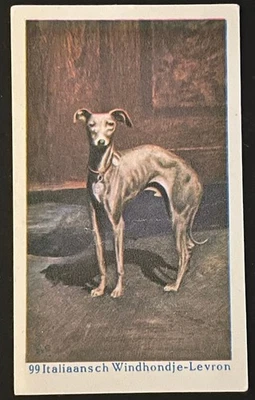 Голландская торговая карточка собака ИТАЛЬЯНСКАЯ БОРЗАЯ 1930 печенье для собак Flora #99 - Изображение 1 из 2