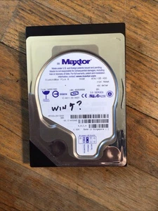 Disco duro Maxtor nar61590 30 GB serie 3,5 PROBADO - Imagen 1 de 2