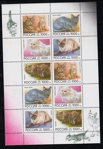 Russia 1996 Mi.#485-89 Domestic Cats minisheet of 10 stamps Cat.Euro 8.00  - Picture 1 of 1