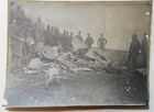 FOTO PRIMA GUERRA AEREO AUSTRIACO AEROPLANO ABBATTUTO REGIO ESERCITO MILITARE 
