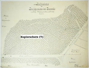 Technical Hand Drawing Zeisigwald near Chemnitz Land Map Drawing 1900s Decor - Picture 1 of 5