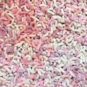 Lobbies Tackle Meñiques Frescos NUEVO Pesca Cebo Vivo *Entrega al Día Siguiente* - Imagen 1 de 5