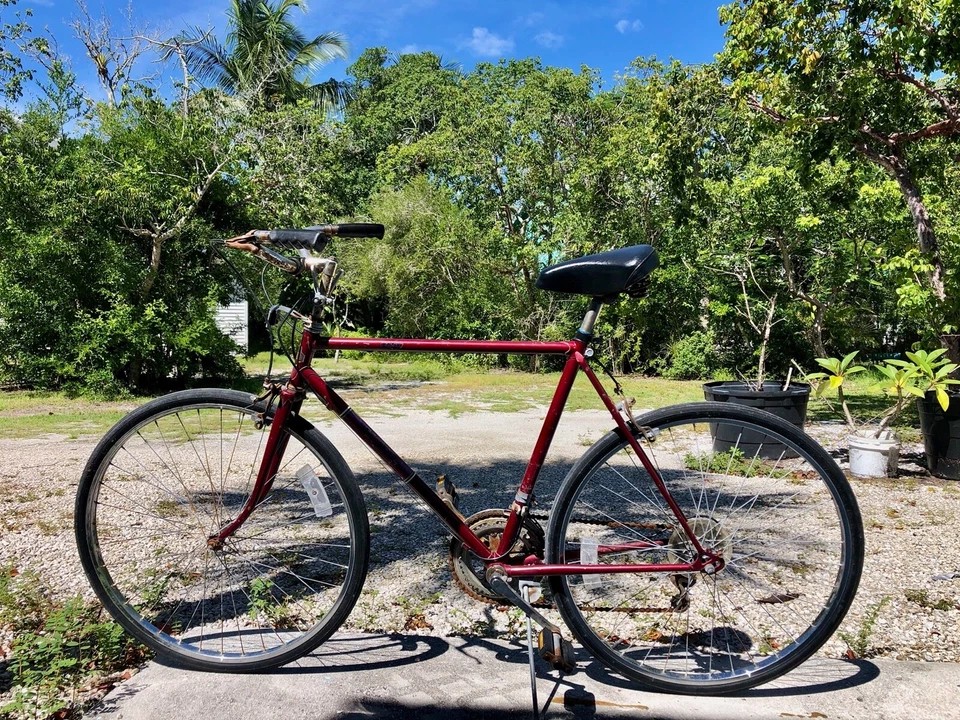 Vintage Free Spirit Sears Roebuck "Britanny" Classic City Bike Circa 1980 - Image 1 of 4