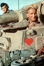 tiger team WW2 Photo Glossy 4*6 in I028