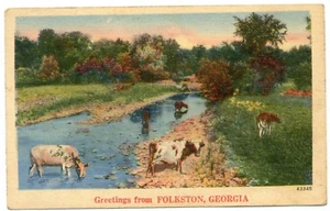 COWS IN CREEK GREETINGS FROM FOLKSTON GEORGIA POSTMARKED 1948 LINEN POSTCARD A6 - Picture 1 of 2