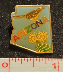 Arizona AZ Souvenir State Lapel Pin Hat Vest Tie Tack resin gold tone Lipko - Picture 1 of 2