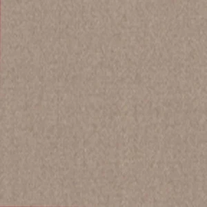 Baumwoll-Cambric helltaupe 100% Baumwolle bio GOTS 145cm breit 145 g/lfm - Bild 1 von 2