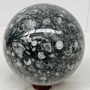Sfera di cristallo fossile naturale per insetti sfera di cristallo di quarzo Reiki Healing2300G - Foto 1 di 12