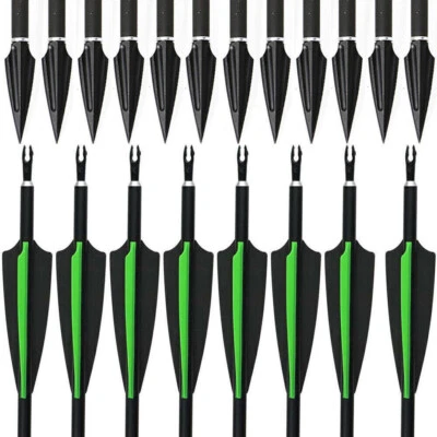 12pcs Set Carbon Arrows 30'' Hunting Tips SP500 Recurve Compound Bow Arrowhead - Image 1 of 4