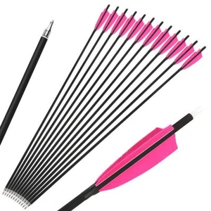 28" 30" 31" Carbon Arrows SP500 4" Turkey Feathers Archery Bow Hunting Target - Picture 1 of 20