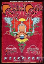 RUSTED ROOT ORIGINAL CONCERT POSTER FILLMORE 1999 F371