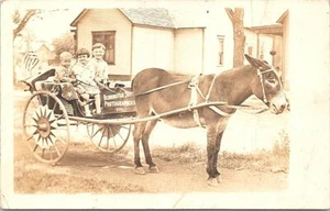 RPPC Muncie Indiana Children in Donkey Wagon Bennington Bros. Photo early 1900s - Picture 1 of 2