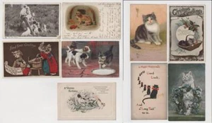 Postales de gatos y perros x 9. Usado por correo. - Imagen 1 de 1