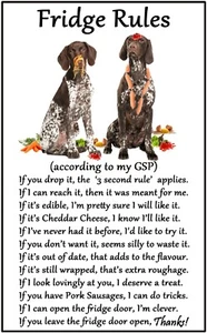 German Shorthaired Pointer Gift - Large Fridge Rules flexible Magnet 6" x 4" - Picture 1 of 1