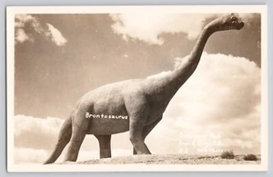 Brontosaurus Dinosaur Park Rapid City South Dakota SD Real Photo Postcard ~ RPPC - Picture 1 of 2