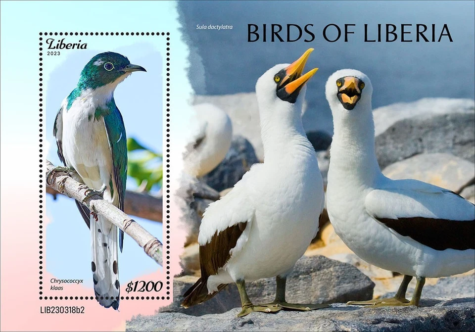 Estampillas de Aves de Liberia MNH 2023 Liberia S/S Foto 1 de 1