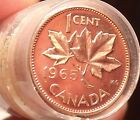 Rouleau UNC (50) Canada 1965 cents ~ (10) petites perles ~ (40) grandes perles ~ Génial ~ Gratuit Sh