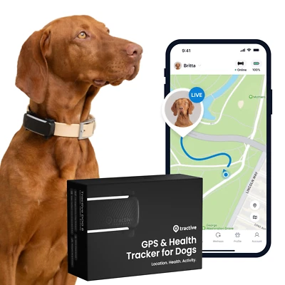 Tractive DOG 6 | GPS Tracker Hund & Health Tracker | Schwarz | GENERALÜBERHOLT - Bild 1 von 4