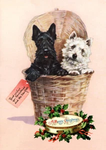 WESTIE SCOTTISH TERRIER IN HAMPER SINGLE DOG PRINT GREETING CHRISTMAS CARD - Picture 1 of 1