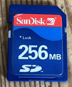 SanDisk Compact Flash 256 MB Digital Memory Card  - Picture 1 of 4
