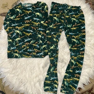 Size 10 Boys Cat And Jack Fuzzy microfleece Dinosaur Pajamas Green - Picture 1 of 4