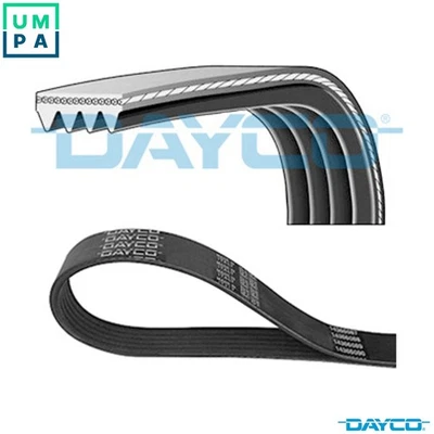 VRIBBED BELT 4PK1406HD FOR MAN D0836LF41/0836LF44 6.9L 6cyl TGA - Image 1 of 4