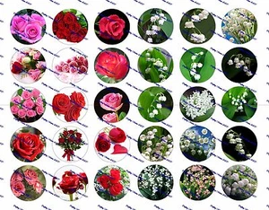 30 vorgeschnittene 1" Blumen Flaschenverschluss Bilder Set 3 - Bild 1 von 1