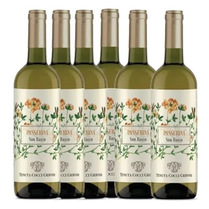 Tenuta Cocci Grifoni Vino San Basso Passerina Marche Igt - 6 bottiglie da 750 ml - Imagen 1 de 2