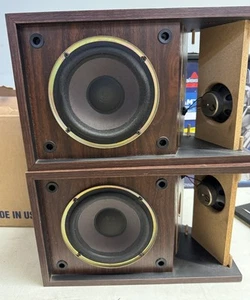 ALTAVOCES DERECHO E IZQUIERDO VINTAGE BOSE 201 SERIE 2 GRANO MADERA PROBADOS - Imagen 1 de 12