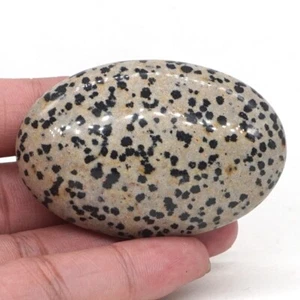 Natural Gemstone Dalmation Jasper Clinozoisite Palm Stone Massage Healing Reiki - Imagen 1 de 7