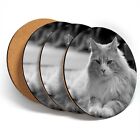 4 x Coasters  - BW - Norwegian Forest Cat Ginger White  #43286