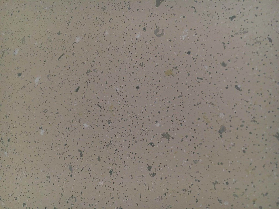 Papel pintado vintage verde moteado de Clarence House Foto 1 de 2